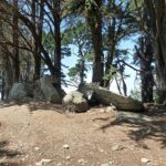 Dolmens de la pointe de Liouse