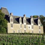 Château de la Cour-au-Berruyer