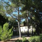 Jardin de la bastide de Romégas