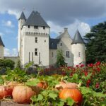 Les jardins du château du Rivau