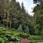Jardin du conservatoire botanique national de Brest