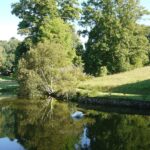 Parc arboretum de Neuvic d’Ussel
