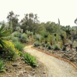 Jardin zoologique tropical