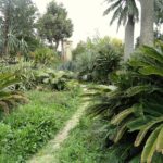 Jardin botanique de la Villa Thuret