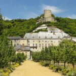 Potager fruitier du château de La Roche-Guyon