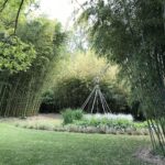 Parc aux bambous