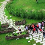 Mosaïc, le jardin des cultures