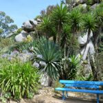 Jardin exotique et botanique