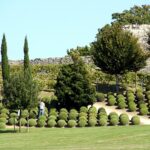 Jardin du château royal d’Amboise
