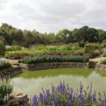 Parc du château Saint-Jean de Beauregard