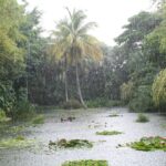 Jardin botanique