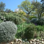 Jardin public de la Motte