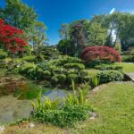 Parc du château de Courances