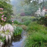 Jardin du Soleil Levant dans le parc botanique de Haute-Bretagne