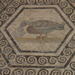 musée Archéologique Théo Desplans
