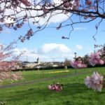 Chapelle du Pinel et puits voisin