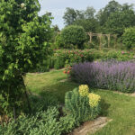 Parc et jardin de Bosmont