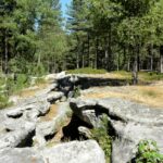 Maison forestière de la Pépinière