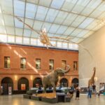 Muséum d’Histoire Naturelle de Toulouse