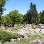 Jardin d’altitude du Haut-Chitelet