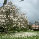 Arboretum de Balaine