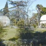 Jardin des plantes