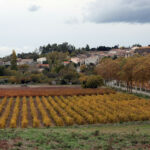 Vestiges de la chapelle Notre-Dame-de-la-Lauze