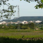 musée Albert André