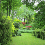 Jardin du Mesnil
