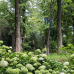 Jardin des Oules
