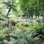Jardin Val Maubrune