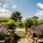 Jardin Botanique