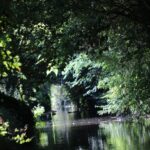 Jardin du Riollet