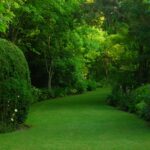 Le jardin de Marguerite
