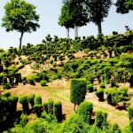 Hortus conclusus du prieuré de Vauboin