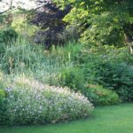 Jardin du Brûle
