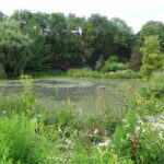 Jardin d’eau de l’Aubepré