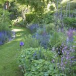 Jardin d’Arsac