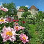 Jardin de campagne