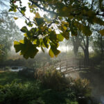 Jardin du Moulin Ventin