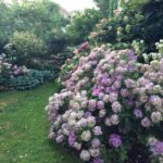 Jardin Annabelle