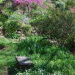 Jardin de l’Argelière