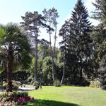 Jardin anglais