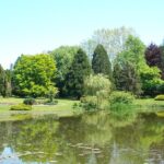 Parc de l’Etang
