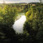 Arboretum de la Martinière