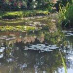 Jardin du peintre Van Beek
