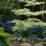 Parc botanique de Cornouaille