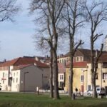 Musée de la lutherie à Mirecourt