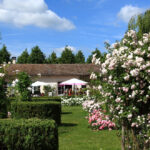 La roseraie de Provins