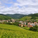 Ancienne bonneterie Allenbach